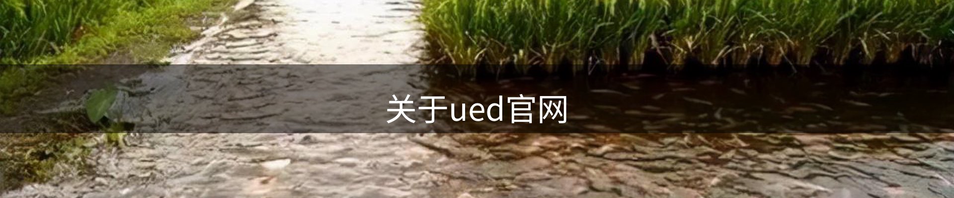 内页banner